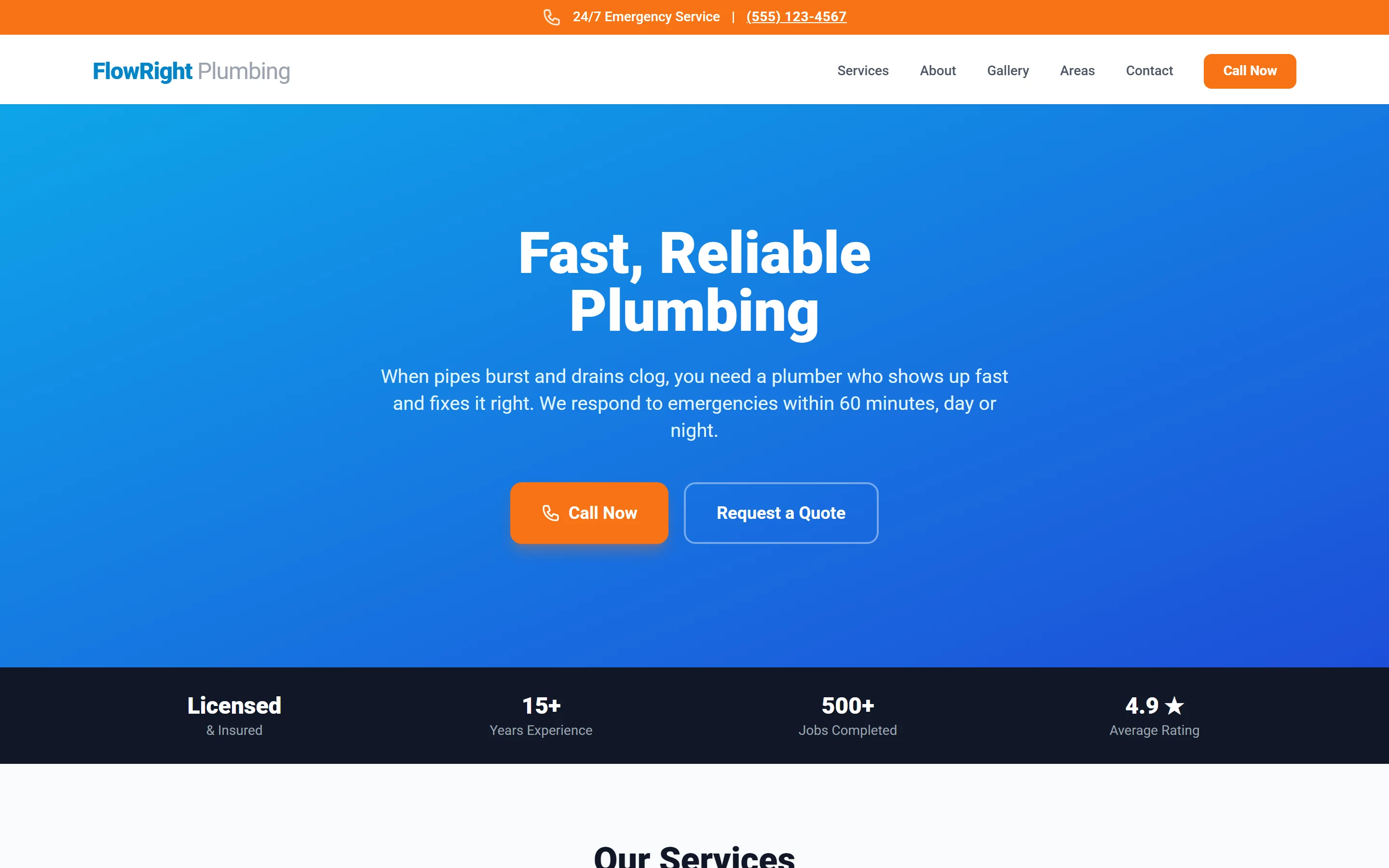 Sample plumbing campaign landing page